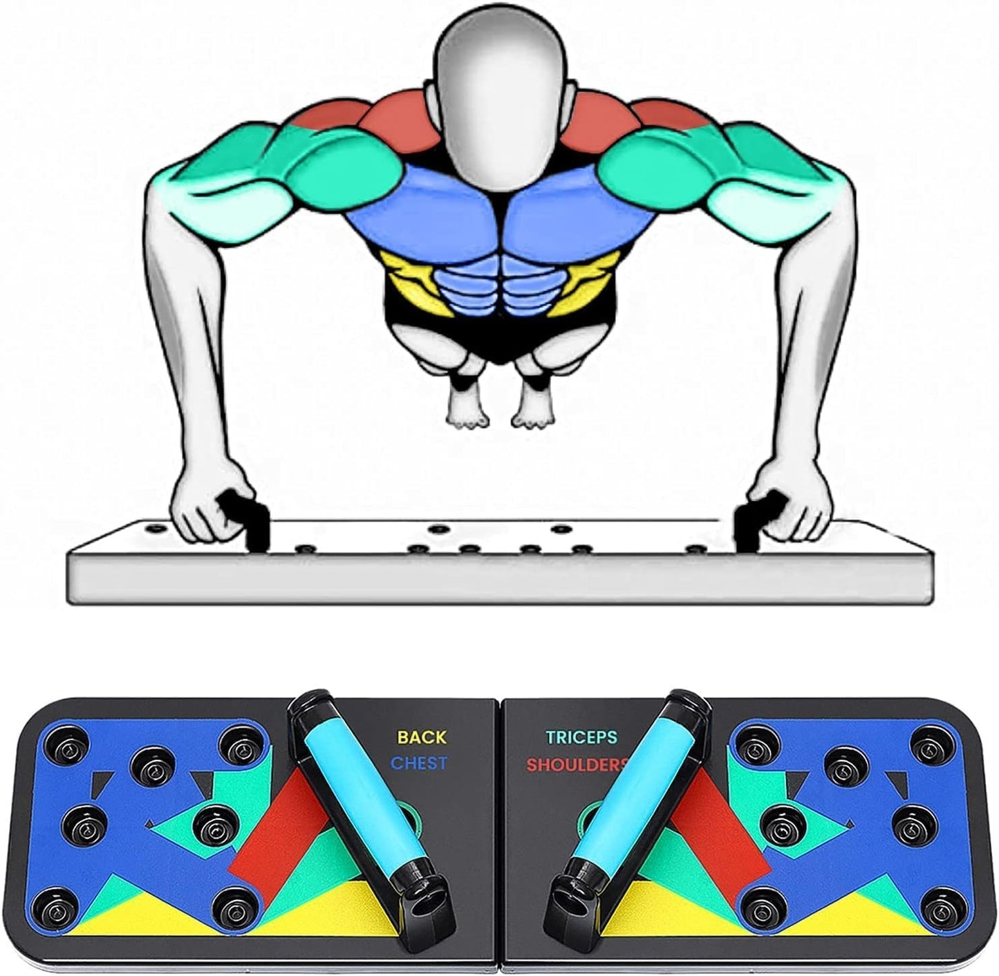 TABLA DE FLEXIONES MUSCULARES